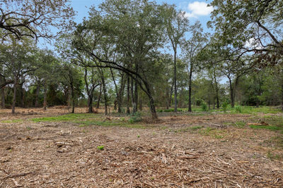 Lot 1 CR 491 — photo 3