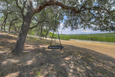 2131 Fm 484 — photo 5