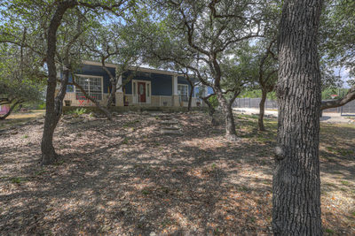 2131 Fm 484 — photo 4