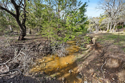 262 Beauchamp Rd — photo 4