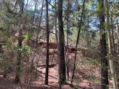 TBD Okoe Ct W — photo 4