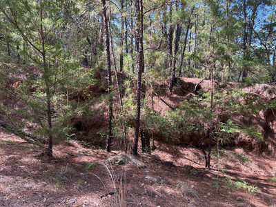 TBD Okoe Ct W — photo 5