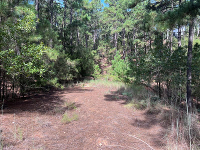 TBD Okoe Ct W — photo 2