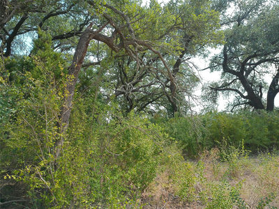Lot 64 Rycen Dr — photo 3