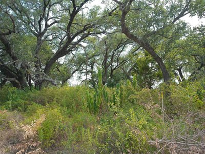Lot 64 Rycen Dr — photo 5