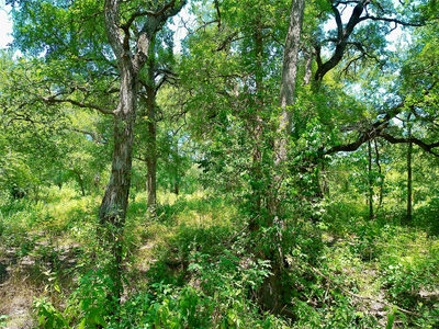 Lot 22 Serenity Dr — photo 3
