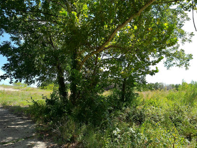 Lot 29 Serenity Dr — photo 4
