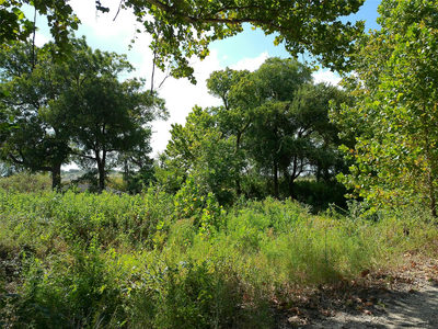 Lot 29 Serenity Dr — photo 3