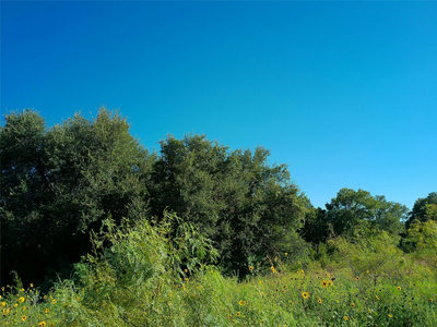 Lot 34 Serenity Dr — photo 4