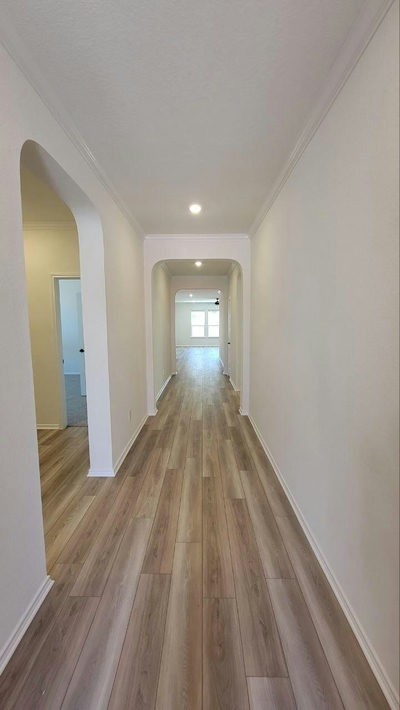 3745 Campora Ln — photo 3