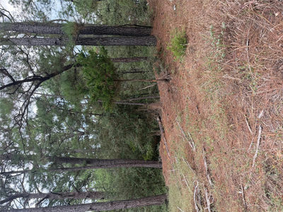 Lot 69 and 70 Taro Ct — photo 3