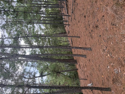 Lot 69 and 70 Taro Ct — photo 4