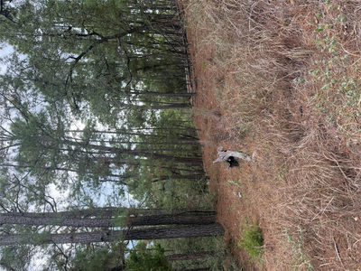 Lot 69 and 70 Taro Ct — photo 2