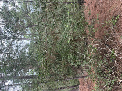 Lot 69 and 70 Taro Ct — photo 5
