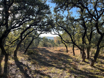 TBD Lost Oak Trl — photo 5