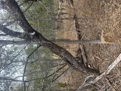 300 Riverside Dr — photo 3