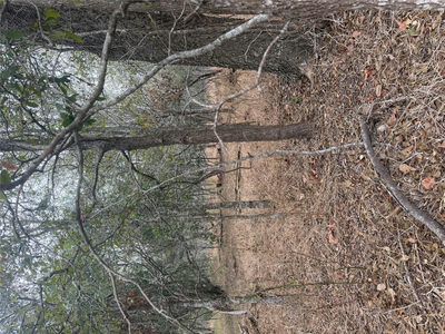 300 Riverside Dr — photo 4