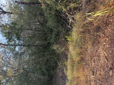 Lot 607 Waimanalo Dr — photo 5