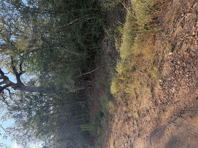 Lot 607 Waimanalo Dr — photo 4
