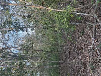 Lot 607 Waimanalo Dr — photo 2