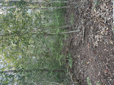 Lot 607 Waimanalo Dr — photo 3