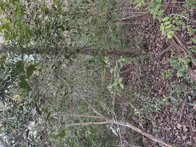 Lot 608 Waimanalo Dr — photo 5