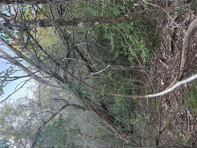 Lot 608 Waimanalo Dr — photo 3