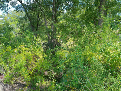 Lot 33 Serenity Dr — photo 5