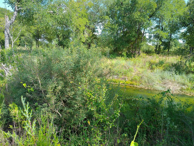 Lot 32 Serenity Dr — photo 5