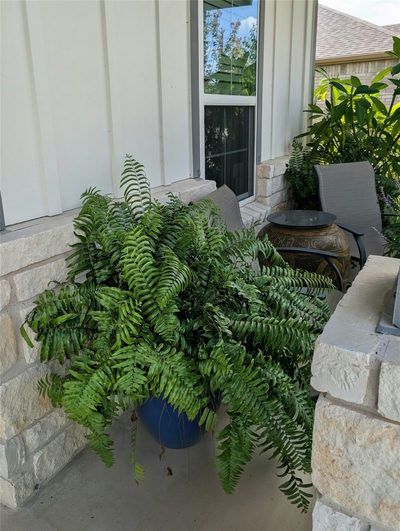 336 Kitty Hawk Rd — photo 3