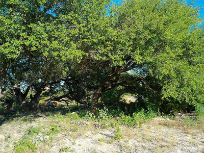 Lot 42 Serenity Dr — photo 4