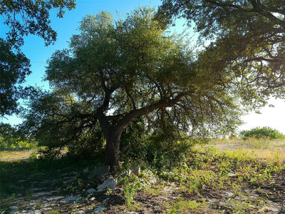 Lot 42 Serenity Dr — photo 3