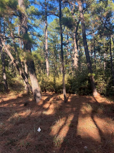 Lot 43 Pine Lodge Dr — photo 3