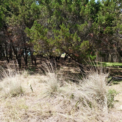 119 Indian Bend Dr — photo 2