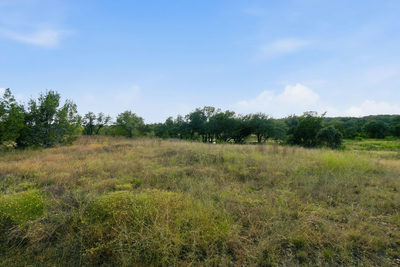 TBD Lot 2 Ranchero St — photo 3