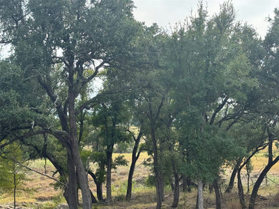 TBD Tract 5 County Road 1320 — photo 2