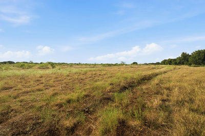 TBD Lot 68 San Gabriel Cv — photo 4