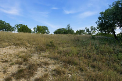 TBD Lot 32 Stockyard Rd — photo 3