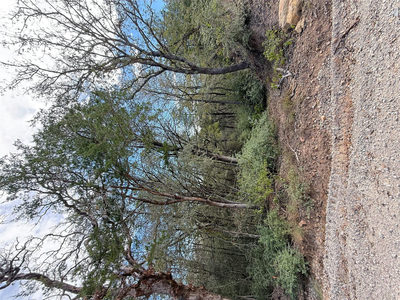 TBD Hanauma — photo 2