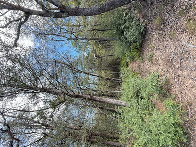 TBD Hanauma — photo 3