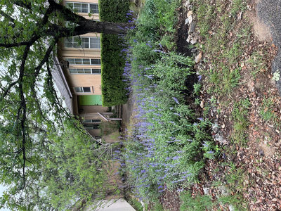 16 E Villa Meadow St — photo 3