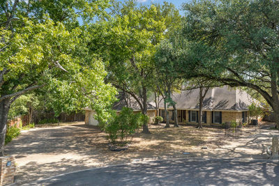 2504 Braemar Cv — photo 3