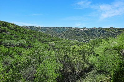 6911 Cat Creek Run — photo 4