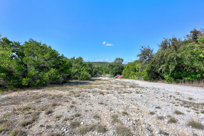 11706 Lonesome Cv — photo 4