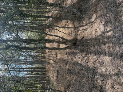 Lot 118 W Keomuku Ln — photo 5