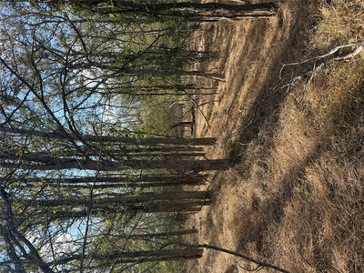 Lot 118 W Keomuku Ln — photo 2