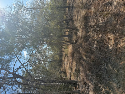 Lot 539 Kaaawa Ln — photo 5