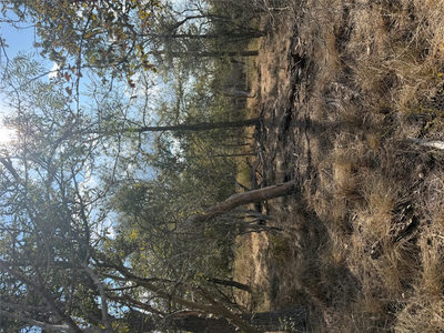 Lot 539 Kaaawa Ln — photo 2