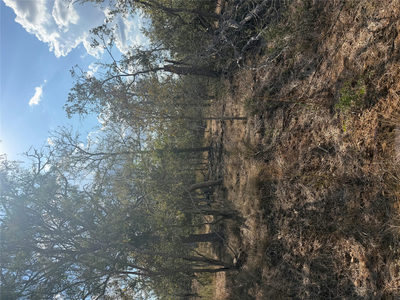Lot 539 Kaaawa Ln — photo 4