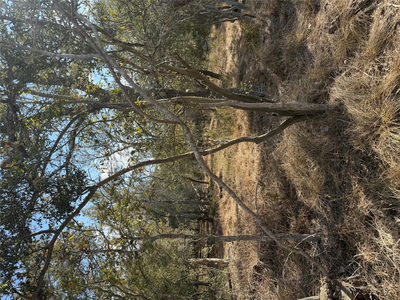 Lot 539 Kaaawa Ln — photo 3